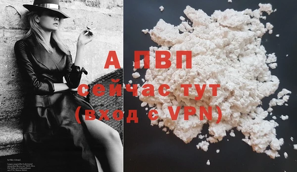 крисы Белокуриха